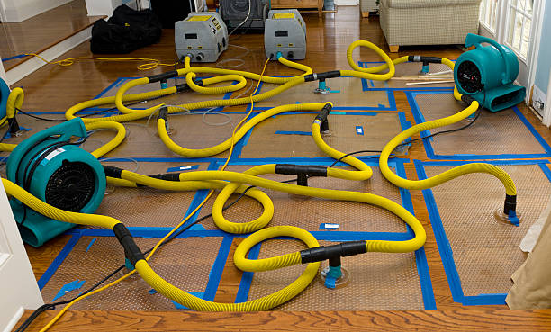 Professional Sewage Cleanup technician working in Granville, MA